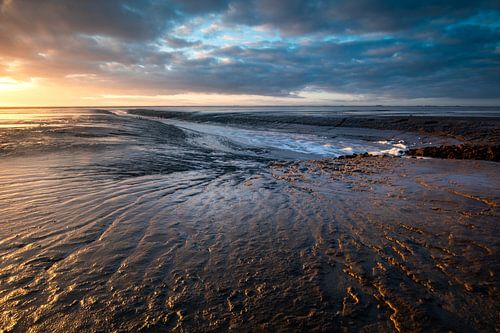 De Dollard, Waddenzee