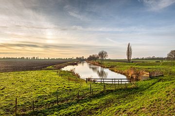 Image pittoresque d'un polder néerlandais près de Heerjansdam