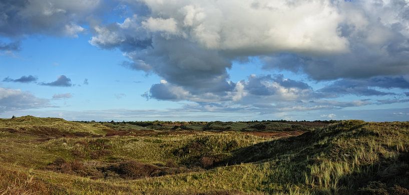 Texel - Nationaal Park Duinen van Texel by foto zandwerk