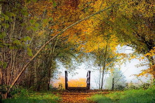 Bruggetje in een herfstlandschap (landscape)