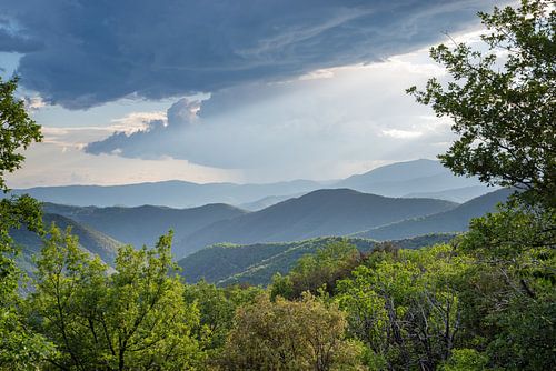 Evening atmosphere in the French Cevennes