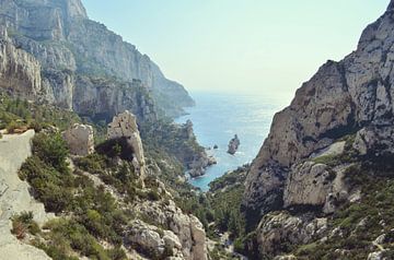 Prachtig landschap in de Calanque de Sugiton, Marseille, Frankrijk van Carolina Reina