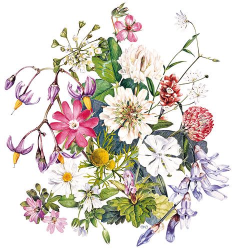 Blumenstrauß aus Primeln von Eke van Mansvelt Aquarell