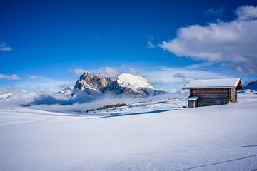 Winterromantik auf der Seiser Alm von t.ART