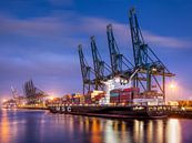 Großes Containerschiff im Hafen von Antwerpen vor Anker von Tony Vingerhoets Miniaturansicht