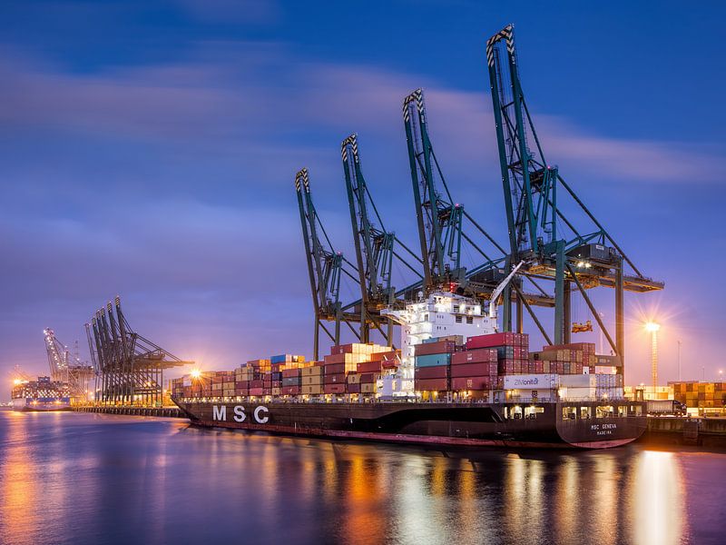 Großes Containerschiff im Hafen von Antwerpen vor Anker von Tony Vingerhoets