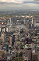 ROTTERDAM