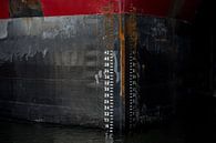 Ship's bow art in the harbor. by scheepskijkerhavenfotografie thumbnail