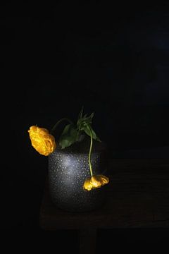 Tellement hollandais. Nature morte minimaliste avec tulipes . sur Saskia Dingemans Awarded Photographer