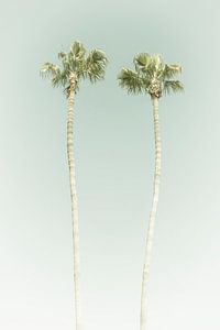 Vintage Palmenidylle