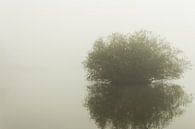 Eenzame boom in de mist van Michel Vedder Photography thumbnail
