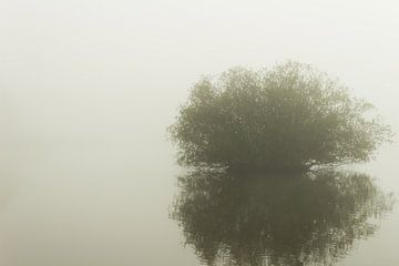 Eenzame boom in de mist van Michel Vedder Photography