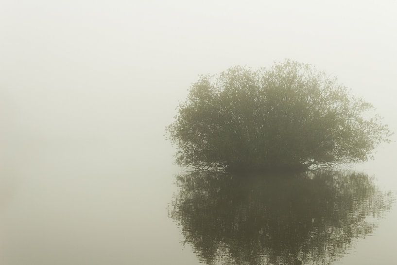 Lonely tree in the fog by Michel Vedder Photography