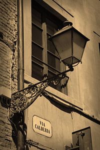 Toskana Italien Lucca Stadtzentrum Sepia