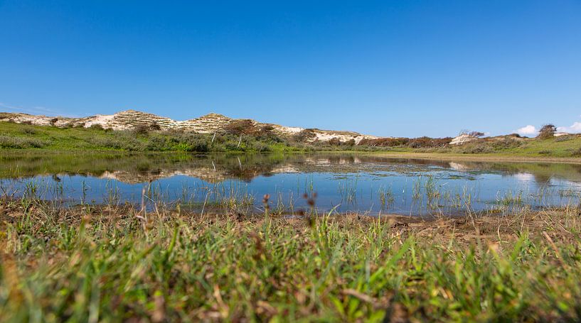 Lake in dune area by Yannick uit den Boogaard