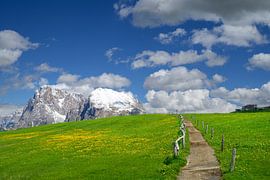 Path over the Seiser in the Dolomites by Sjoerd van der Wal Photography