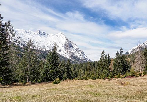 Lenteachtig berglandschap in het Wettersteingebergte met groene weiden en opvallende bergtoppen.