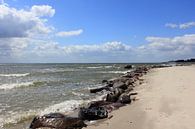 Coastal protection by Ostsee Bilder thumbnail