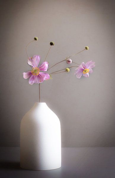 Delicate beauties by Anneliese Grünwald-Märkl