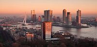 Rotterdam Skyline in Red by Jan Sluijter thumbnail