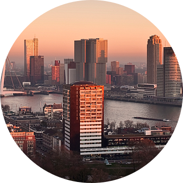 Rotterdam Skyline in Red van Jan Sluijter