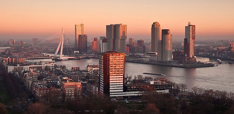 Rotterdam Skyline in Red by Jan Sluijter