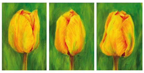 Trois tulipes jaunes triptyque