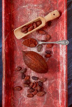 Cocoa by Thomas Jäger