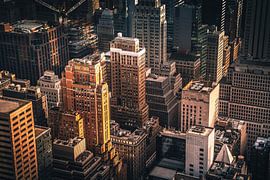 Nehmen Sie Platz auf dem Dach von Loris Photography