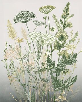 Botanische Illustration: Wildblumen auf dem Feld von Studio Pieternel