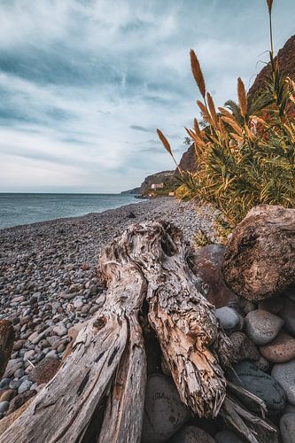 Faja Dos padres - Madeira Portugal