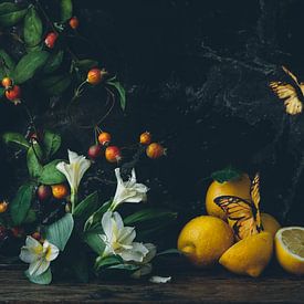 Stilleven met citroenen  en gele vlinders in oude meesters stijl van From My Eyes