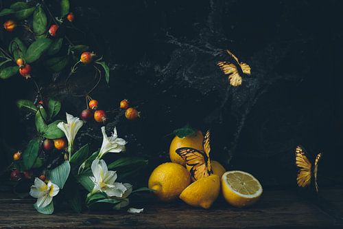 Still life with citrus fruit and butterflies