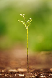 A New Beginning