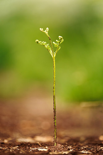 A New Beginning