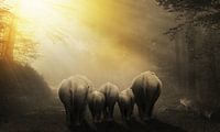 Unterwegs mit den Elefanten von Bert Hooijer Miniaturansicht