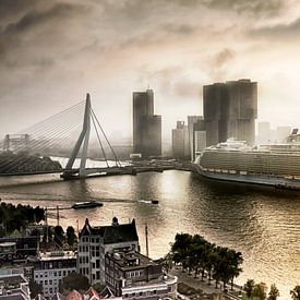 The Oasis of the Seas in Rotterdam by Sylvester Lobé