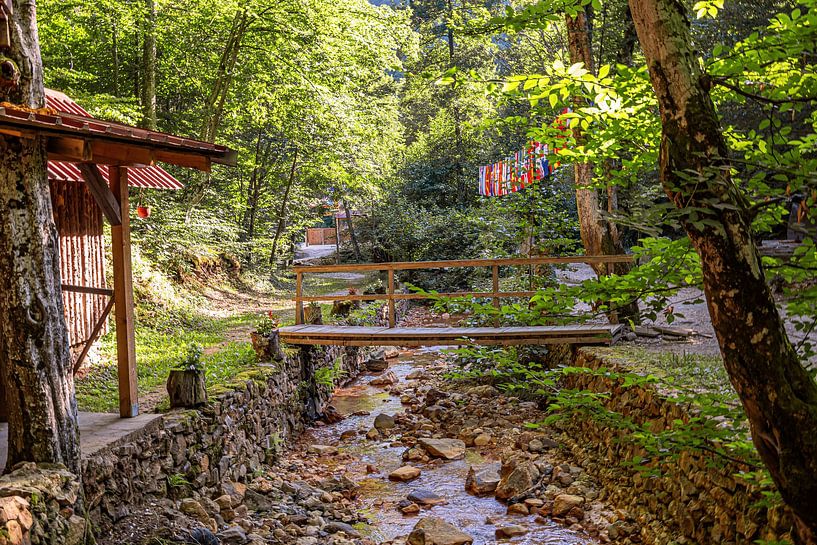 Servië : Davolja Varos van Photoart-Naegele