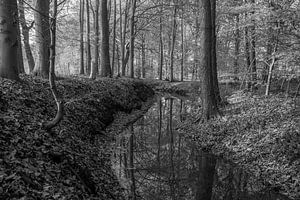 Kronkelende beek tijdens de nazomer (zwart/wit)