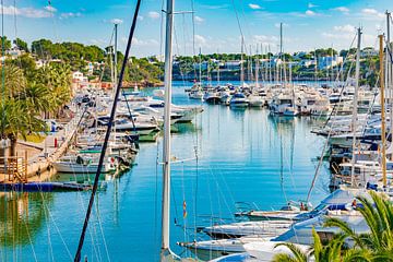 Luxury boats moored at the marina of Cala Dor on Mallorca by Alex Winter