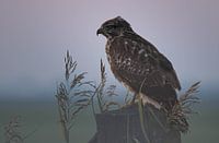The Keeper Of The Plain