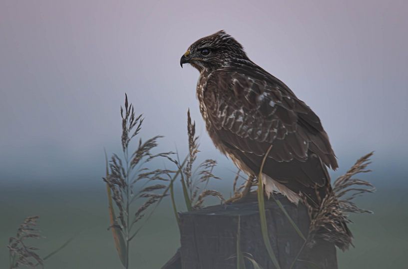 The Keeper Of The Plain by J.H Photoart