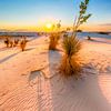 White Sands Sunset by Melanie Viola