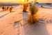 Sonnenuntergang über dem White Sands National Monument von Melanie Viola