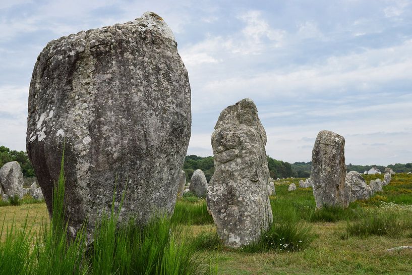 Carnac megaliths by Ingrid de Vos - Boom