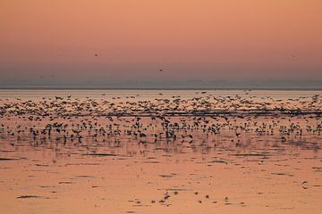 Sunset on the mudflats by Johanna Oud