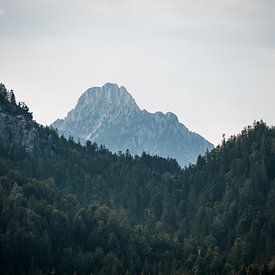 Zwischen den Tälern von Hugo Onink