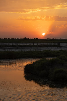 Sunset in the Camargue