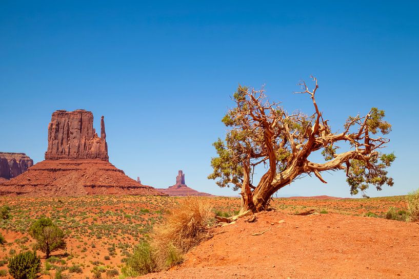 MONUMENT VALLEY West Mitten Butte van Melanie Viola