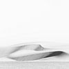 Image abstraite en noir et blanc d'une dune de sable dans le désert du Sahara. sur Photolovers reisfotografie